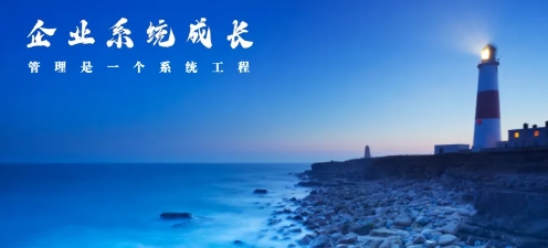 企业战略与企业成长管理